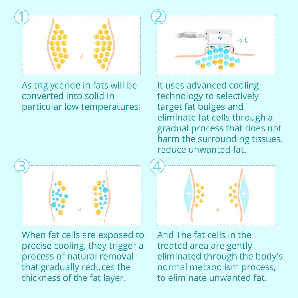 Fat Burning Machine