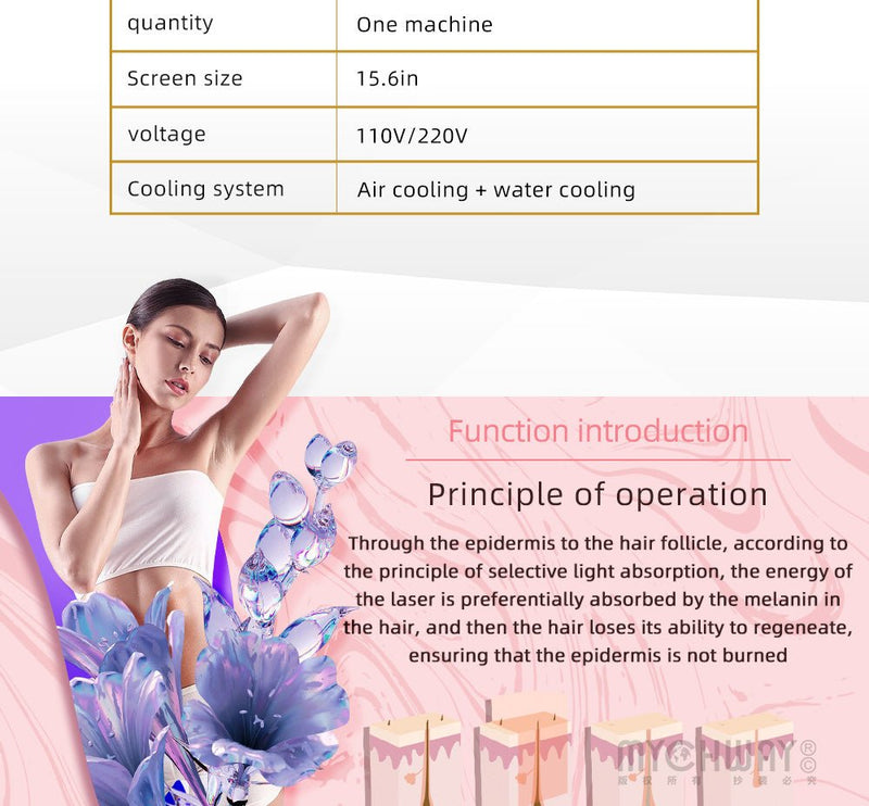 2 In 1 Diode Laser Hair Removal Machine Picosecond Tattoo Removal Instrument - myChway UK