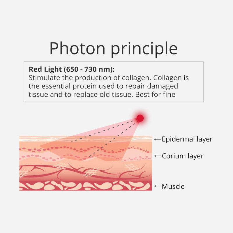 6 In 1 40K Ultrasonic Cavitation Device - myChway UK