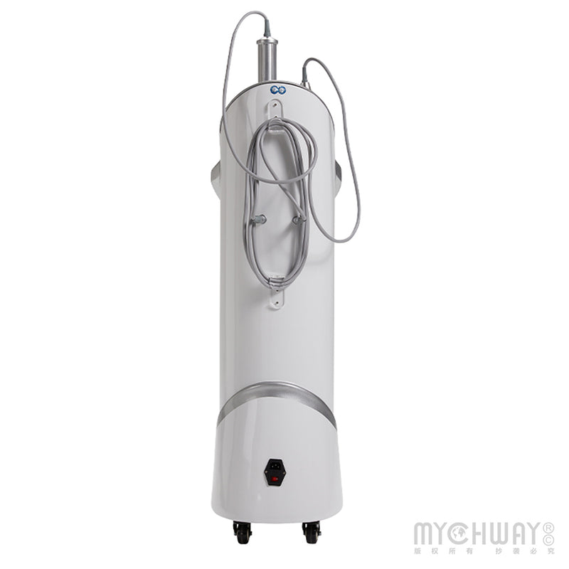 Dual-Handle Inner Ball Roller Beauty Machine Body Sculpting Face Lifting