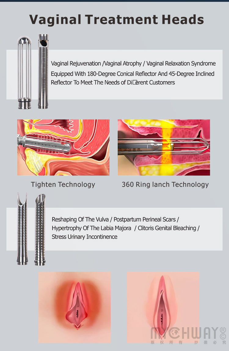 Co2 Fractional Laser Machine For Acne Scar Marks Removal Vaginal Tightening
